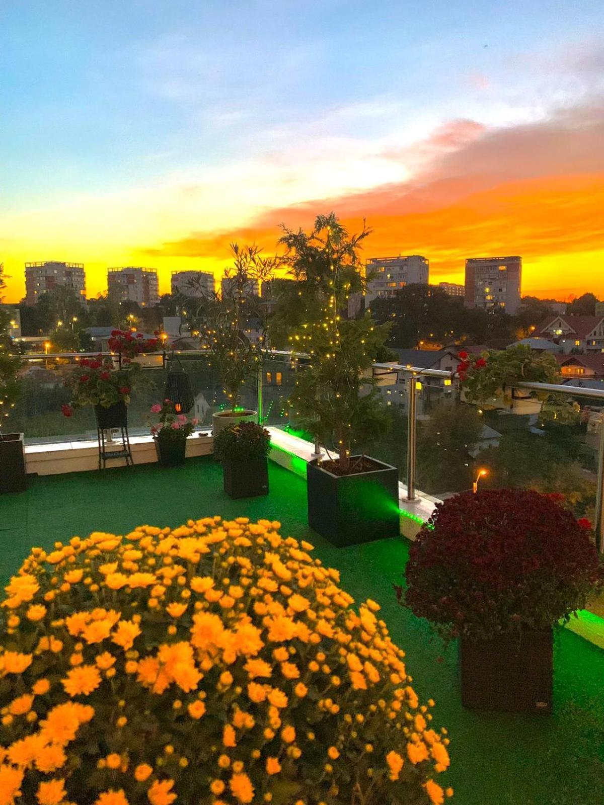 Penthouse Aeroport Iasi Lägenhet Exteriör bild