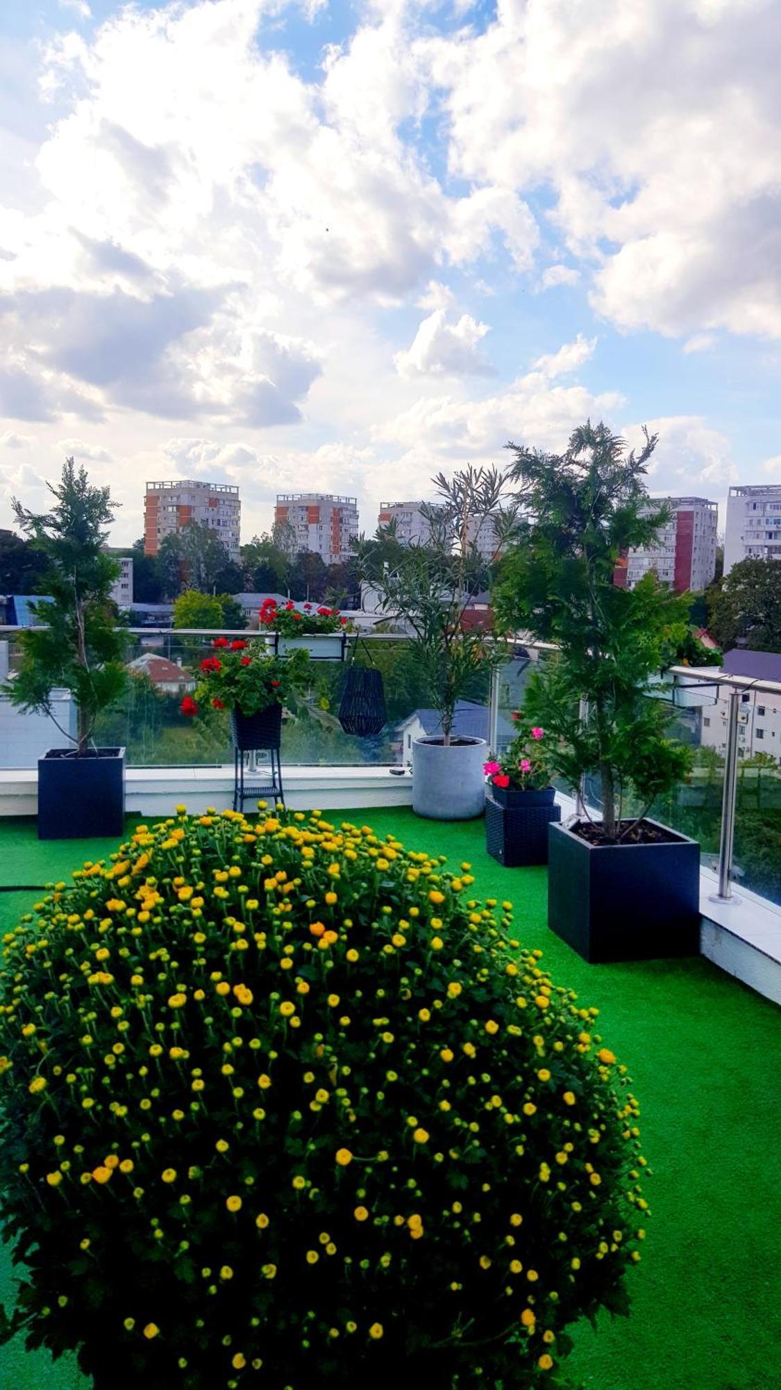 Penthouse Aeroport Iasi Lägenhet Exteriör bild